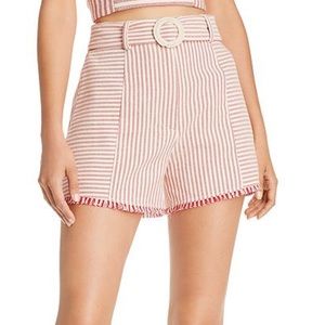 Aqua Belted High-waisted Stripe Shorts